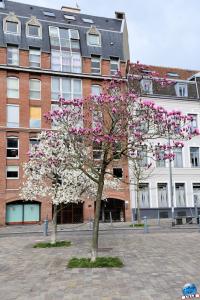 Printemps 2021 - 83