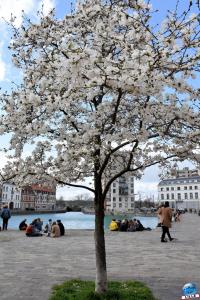 Printemps 2021 - 84