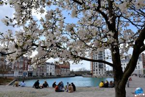 Printemps 2021 - 85