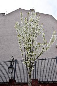 Printemps 2021 - 86