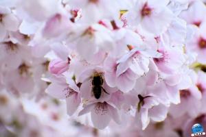 Printemps 2021 - 96
