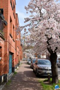 Printemps 2021 - 97