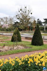 Printemps 2021 - Jardin des Plantes - 37