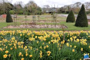 Printemps 2021 - Jardin des Plantes - 38