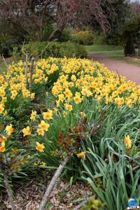 Printemps 2021 - Jardin des Plantes - 39