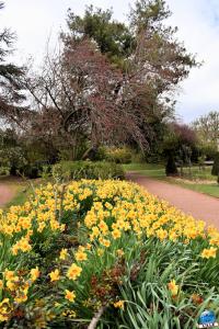 Printemps 2021 - Jardin des Plantes - 40