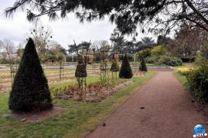 Printemps 2021 - Jardin des Plantes - 41