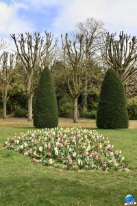 Printemps 2021 - Jardin des Plantes - 43