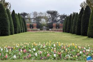 Printemps 2021 - Jardin des Plantes - 44