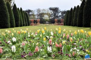 Printemps 2021 au Jardin des Plantes