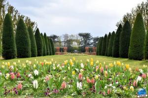 Printemps 2021 - Jardin des Plantes - 46