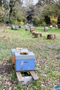 Printemps 2021 - Jardin des Plantes - 47