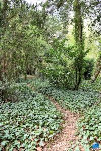 Printemps 2021 - Jardin des Plantes - 51