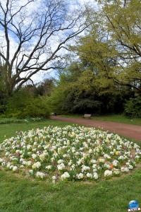 Printemps 2021 - Jardin des Plantes - 56