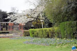 Printemps 2021 - Jardin des Plantes - 59