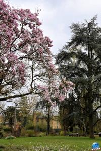 Printemps 2021 - Jardin des Plantes - 60