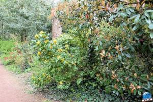Printemps 2021 - Jardin des Plantes - 61