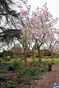 Printemps 2021 - Jardin des Plantes - 62