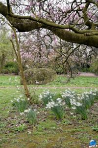 Printemps 2021 - Jardin des Plantes - 63