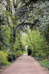 Printemps 2021 - Jardin des Plantes - 64