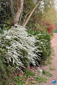 Printemps 2021 - Jardin des Plantes - 65