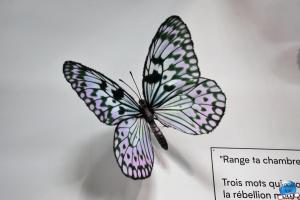 Exposition Range ta chambre ! - 04