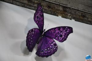 Exposition Range ta chambre ! - 05