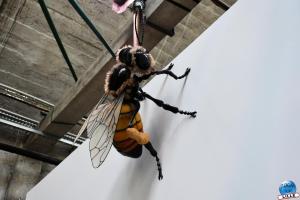 Exposition Range ta chambre ! - 36