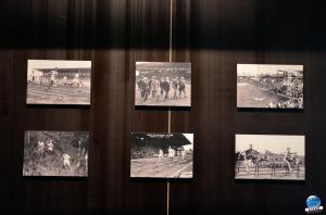 Sportfoto Gare Saint Sauveur - 24
