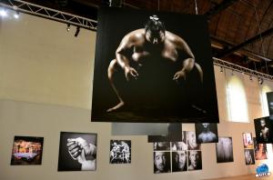 Sportfoto Musée de l'Hospice Comtesse - 07