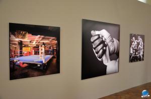 Sportfoto Musée de l'Hospice Comtesse - 08