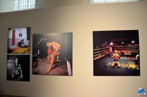 Sportfoto Musée de l'Hospice Comtesse - 16