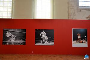 Sportfoto Musée de l'Hospice Comtesse - 18