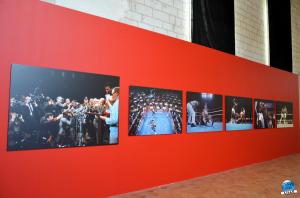 Sportfoto Musée de l'Hospice Comtesse - 19