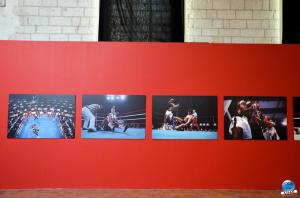 Sportfoto Musée de l'Hospice Comtesse - 20