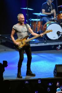 Sting - 10