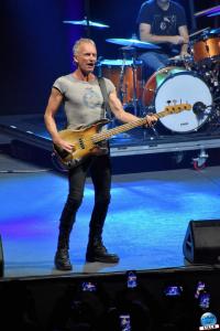 Sting - 11