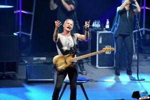 Sting - 15
