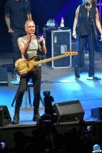 Sting - 17