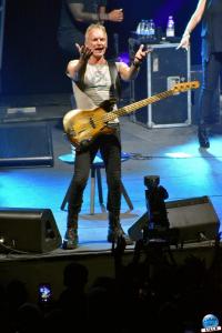 Sting - 18