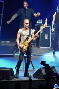 Sting - 19