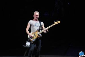 Sting - 24