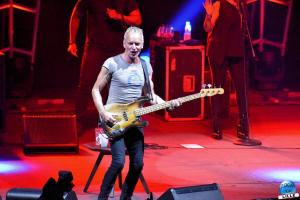 Sting - 29