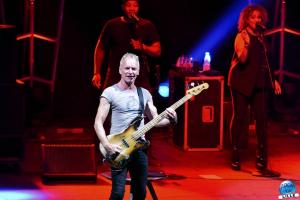 Sting - 30