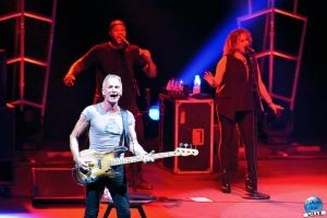 Sting - 31