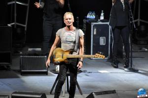 Sting - 33