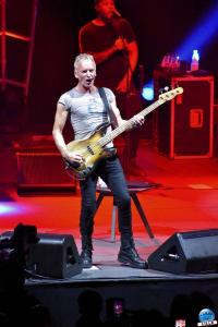 Sting - 36