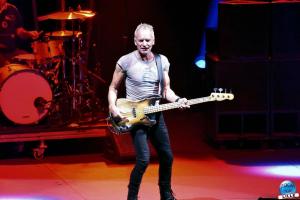 Sting - 38