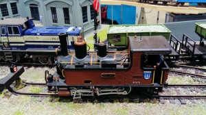 Trains Mania 2017- 08
