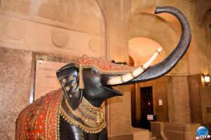 Urban Trail Lille 2021 - 64